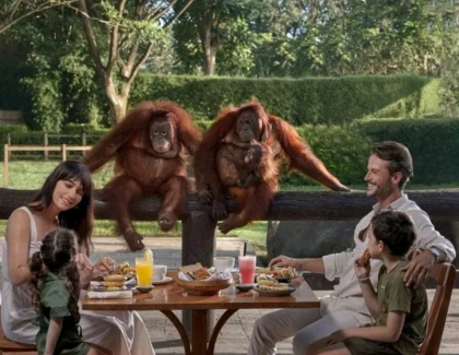 Breakfast with Orangutans and Ubud Highlights Tour