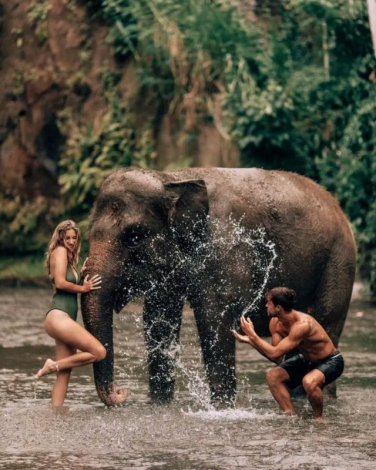 Bali Zoo Park Tour Entrance Ticket Online Booking Cost Price List 2023