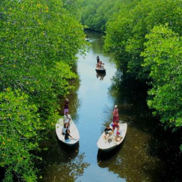 Mangrove Tour Nusa Lembongan Bali Day Trip All Inclusive