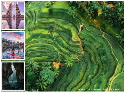 Best of Bali Day Tour - Exploring the Most Scenic Spots