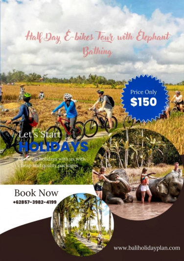 Half Day Electric Bike Tour Ubud and Elephant Bathing Packages