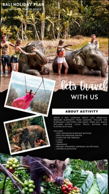 Elephant Mud Fun Bathing at Bali Zoo with Jungle Swing Packages