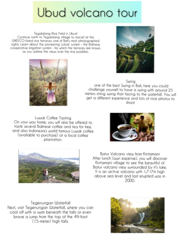 巴厘島擺動神聖的猴子森林和火山一日遊