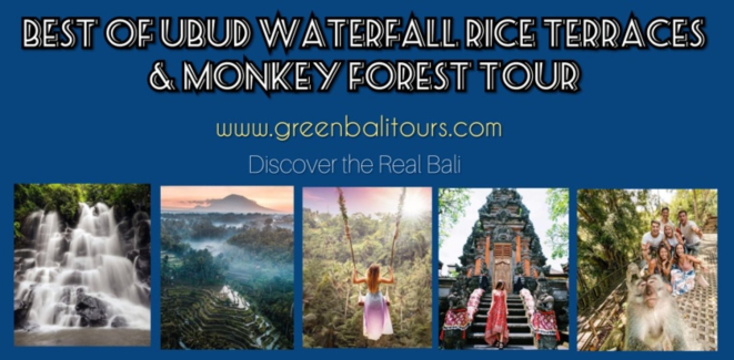 Best of Ubud Waterfall Rice Terraces & Monkey Forest Tour