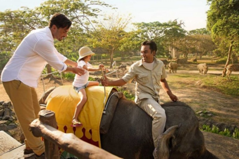 Bali Safari & Marine Park Tour Cost Price List 2023 Online Booking Tickets
