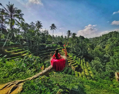 Jimbaran to Ubud Taxi Cost 2025 Price List 2025