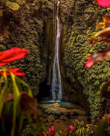 Day Trip to Ubud Itinerary from Nusa Dua: Discover Bali’s Hidden Gems