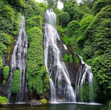 sekumpul waterfall hiking tour from ubud