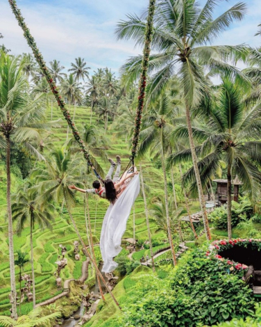 Ubud Full Day Tour: Monkey Forest - Jungle Swing - Rice Terrace - Water Temple and Waterfall
