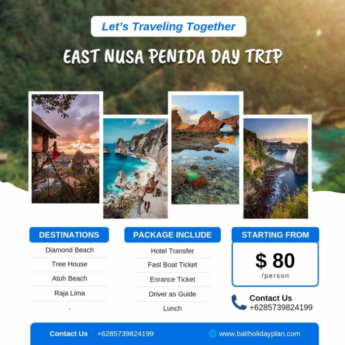 One Day East Nusa Penida Private Tour Packages - All Inclusive