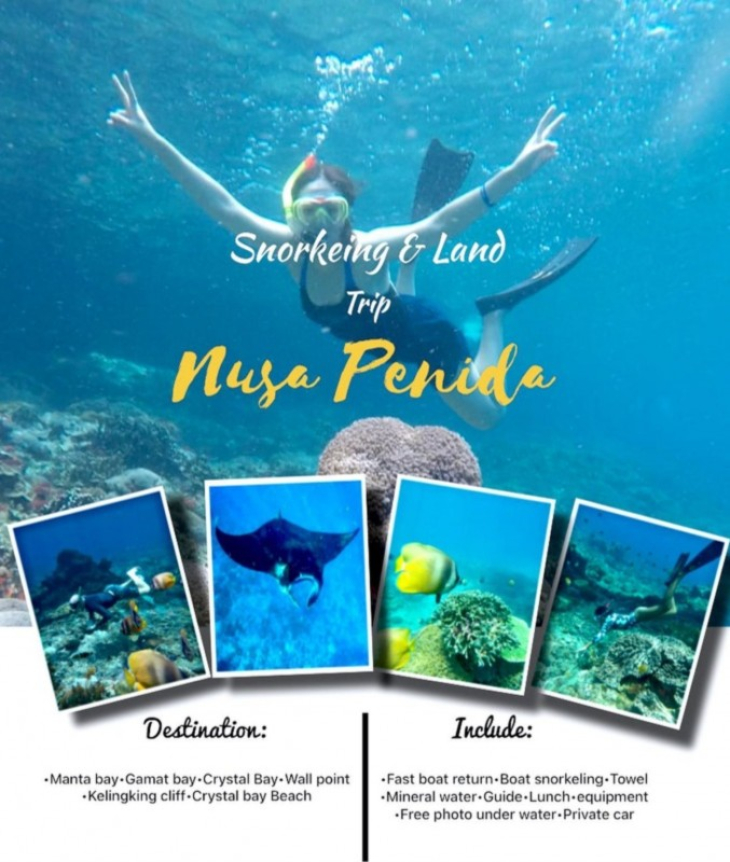 Nusa Penida Tour from Bali - Best of Nusa Penida - All Inclusive 2025