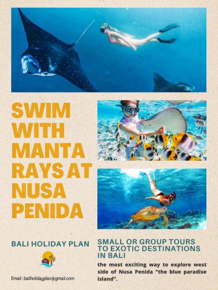 From Bali Swim with Manta Rays in Manta Point Nusa Penida
