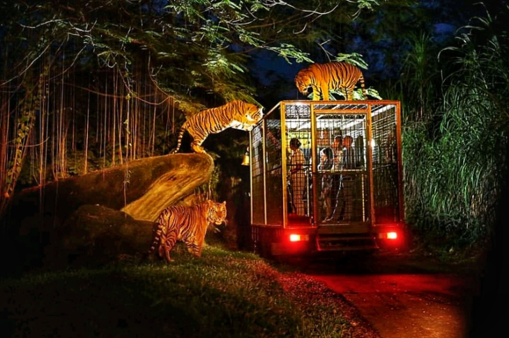 Taxi from Ubud to Bali Zoo