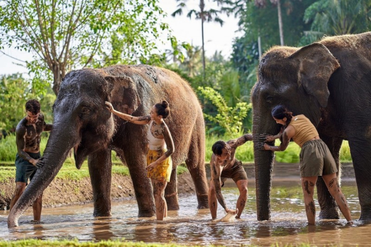 Elephant Riding with Ubud Tour Packages