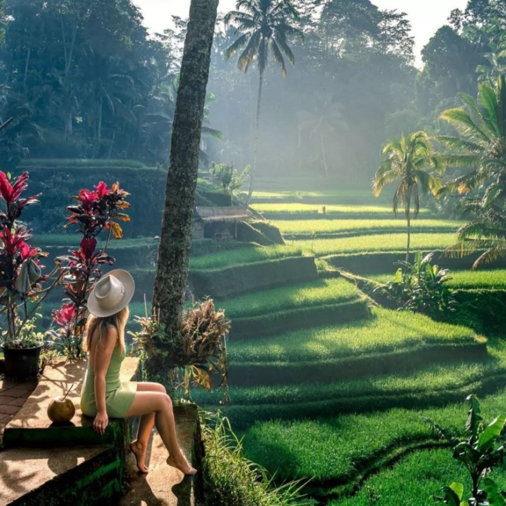 Ubud Tour in Bali Best of Ubud Private Full Day Trip 2023