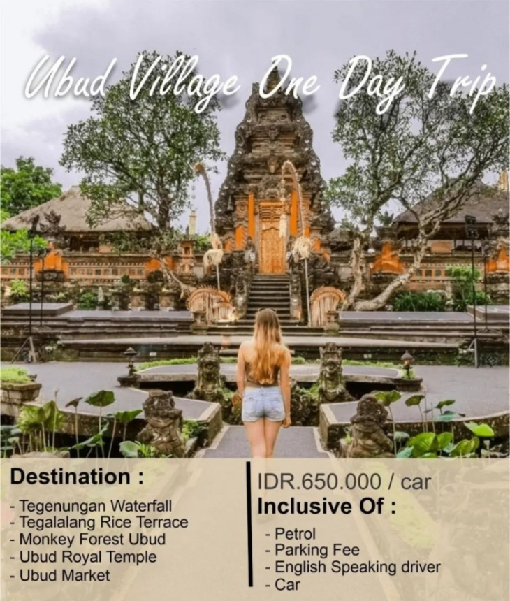 Full Day Ubud Highlights Tour with Best of Jungle Swing in Bali