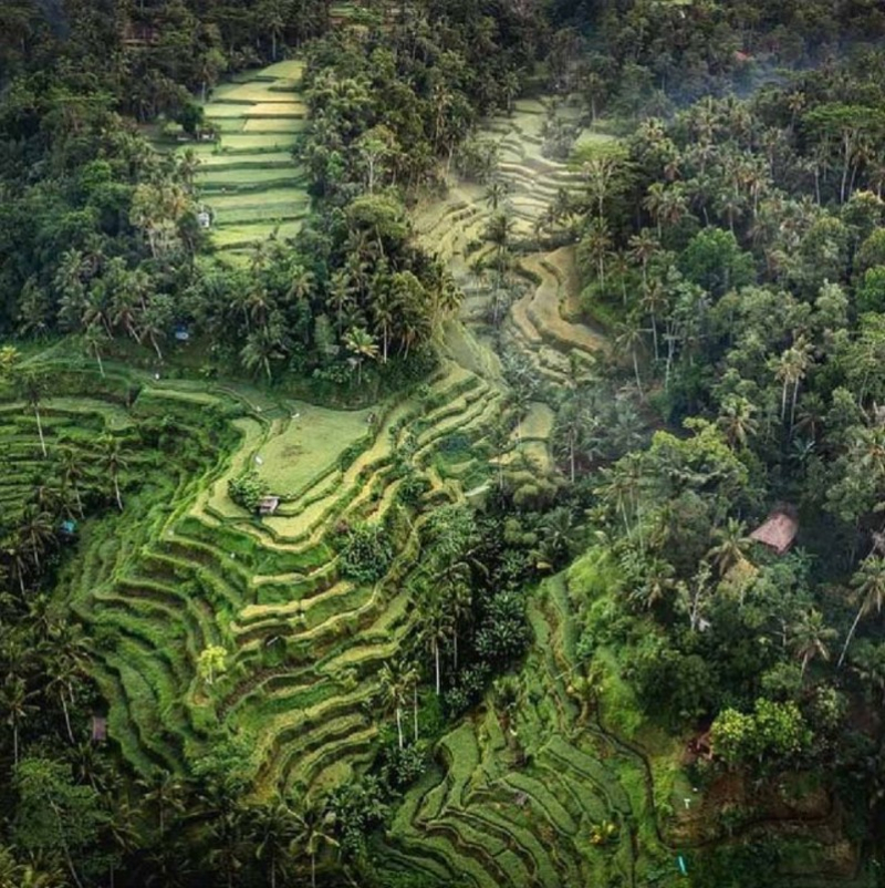 Bali ATV Ride and Ayung Rafting with UNESCO Rice Terraces Tegalalang Tour Packages