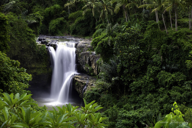 Ubud Waterfall Tours